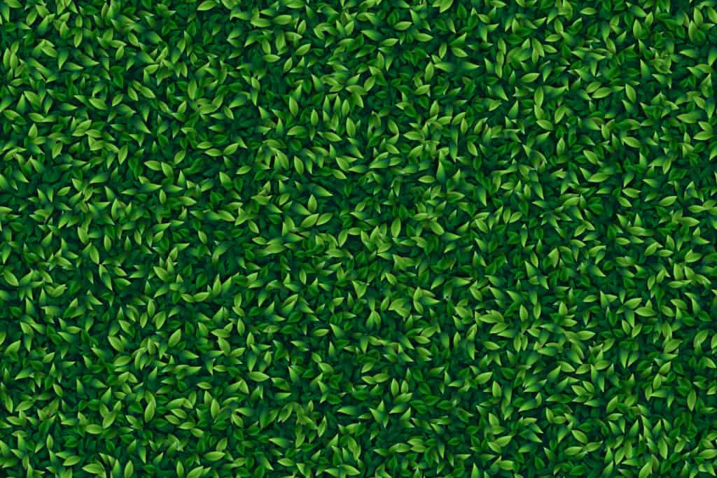 Green leaves realistic seamless background The TRADE